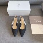 Dior High heel