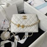 ?Chanel 23A Golden Little Lion Chain Bag AP3429, Top Quality   Size: 19 * 13 * 8cm