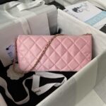 Chanel 23A Hot Selling Pearl Stick Bag AS3791, Top Quality  Size: 11.5 * 26 * 4cm