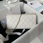 Chanel 23A Hot Selling Pearl Stick Bag AS3791, Top Quality  Size: 11.5 * 26 * 4cm_副本