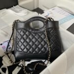 Chanel 23A mini 31 bag AS4133, top quality Size: 22 * 23 * 5.5cm