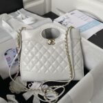 Chanel 23A mini 31 bag AS4133, top quality  Size: 22 * 23 * 5.5cm