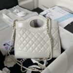 Chanel 23A mini 31 bag AS4133, top quality  Size: 22 * 23 * 5.5cm