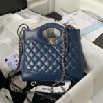 Chanel 23A mini 31 bag AS4133, top quality  Size: 22 * 23 * 5.5cm