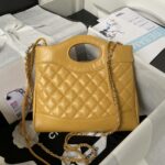 Chanel 23A mini 31 bag AS4133, top quality  Size: 22 * 23 * 5.5cm