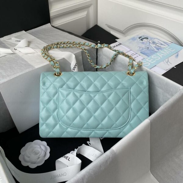 Chanel Classic Flap Bag A01113, Top Quality, Medium Size: 23cm