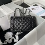 Chanel Classic Flap Bag A01113, Top Quality,  Medium Size: 23cm