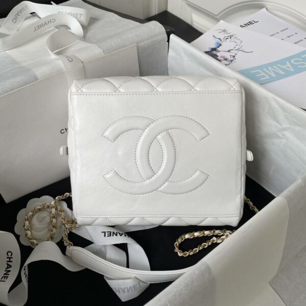 Chanel 23A Premium Handmade Sheepskin Portable Lunch Box Bag AS4201, Top Quality Size: 17 * 21 * 5.5