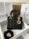 SMALL LADY DIOR MY ABCDIORBAG 20cm*16.5cm*8cm