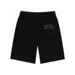 LV 23/SS men's new pocket accessories casual knitted shorts