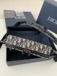 DIOR Men's SAFARI Messenger Bag, Top Quality Size: 22 * 15 * 6cm