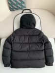 Moncler Montbeliard down jacket