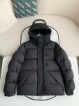 Moncler Montbeliard down jacket