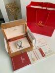 Omega Seahorse Series AQUA TERRA  150-meter dive wristwatch,41.5mm