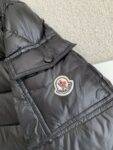 Moncler Short  men's down jacket