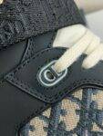 Dior B27 High-top casual shoes